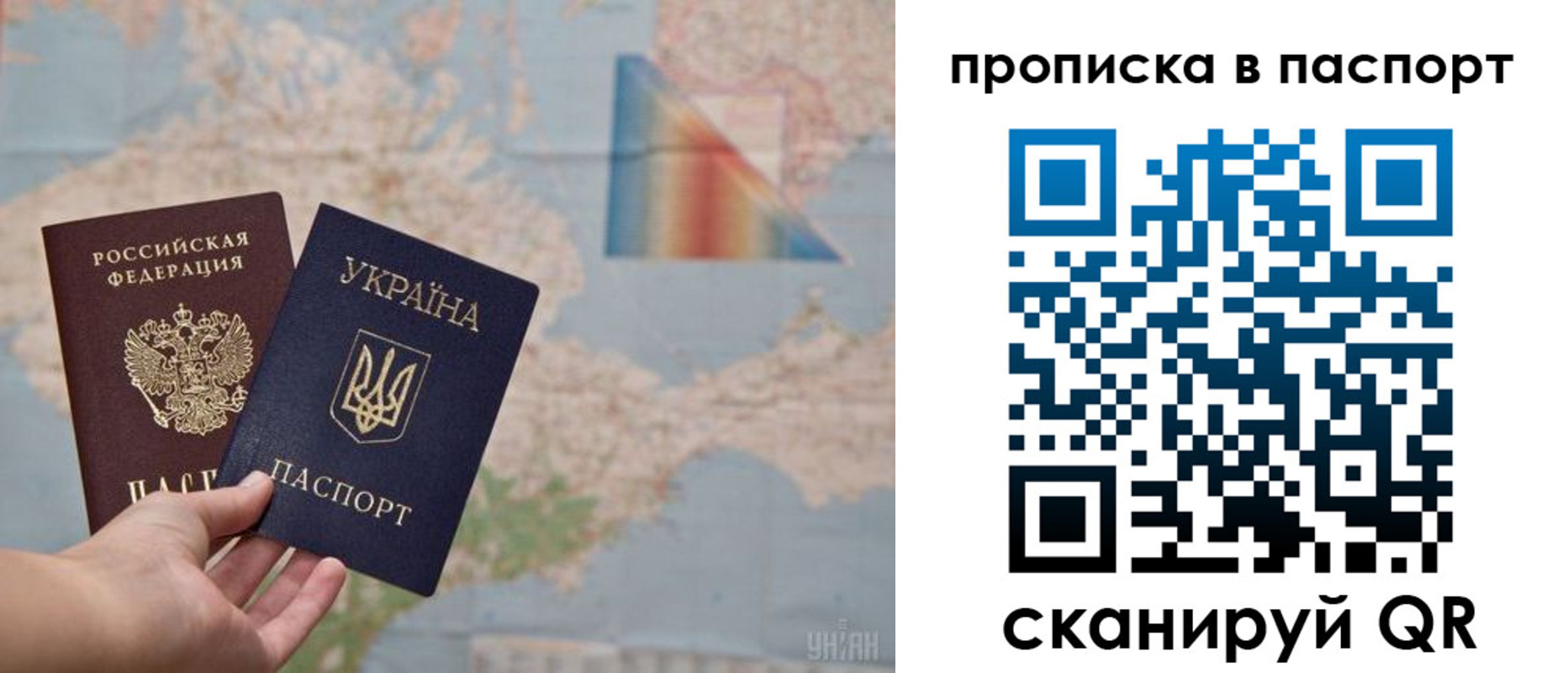 прописка поиск в Болотном